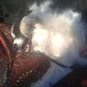 Meet your Posher, Jayah